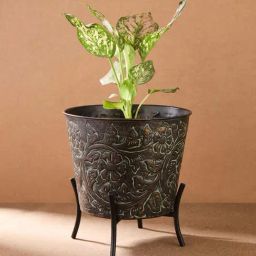 Fabindia Home Black Metal Antiqued Utkarsh Floor Planter-image-5
