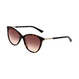 Calvin Klein Brown Cat Eye Sunglasses for Women-image-4