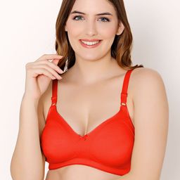 Bodycare Full Coverage Bra With All Day Comfort-image-38