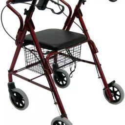 Karma Walker with Seat, 125 Kg Load Capacity, RT 60-picture-20