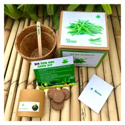sow & grow Sow and Grow DIY Gardening Kit - Beans-picture-36