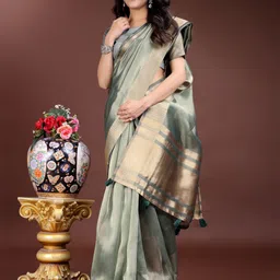 ALAGINI Woven Design Zari Organza Saree with an unstitched blouse piece-57