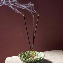 Fabindia Home Green Ceramic Roma Glazed Incense Holder-image-63