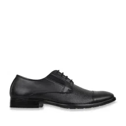 Carlton London Men's Black Derby Shoes-image-40