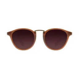 Chilli Beans OCCL34015702 Brown Round Sunglasses-image-77