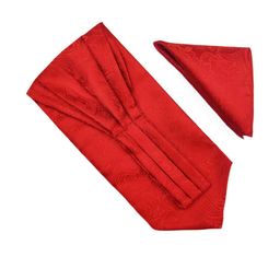 Ascot Tie & Pocket Square Combo-image-69