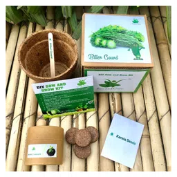 sow & grow Sow and Grow DIY Gardening Kit - Bitter Gourd-picture-32