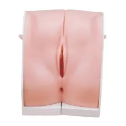 A-ONE SCIENCE Life Size Skin Color PVC Contraception Guidance Model AOSBM102-picture-36