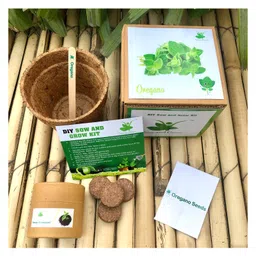 sow & grow Sow and Grow DIY Gardening Kit - Oregano-picture-34