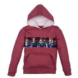 Plum Tree Kids Wine Embellished  Hoodies-image-77