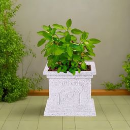 Kuber Industries Set Of 5 White Textured Planters-image-35
