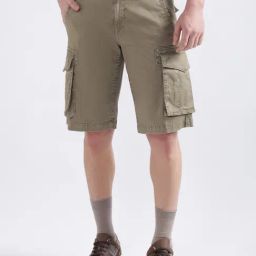 Iconic Khaki Regular Fit Shorts-picture-36