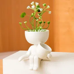 Ekhasa White Ceramic Pot For Plant-image-9