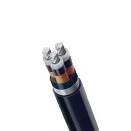 Polycab 400 Sq.mm 3 Core Aluminium Conductor Unarmoured LT Power Cable A2XY-image-36