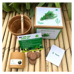 sow & grow Sow and Grow DIY Gardening Kit - Thyme-picture-35