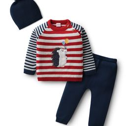 Babyhug Organic Cotton Knit Full Raglan Sleeves Pullover Striped Sweater Set with Cap & Patch Detailing - Navy Blue & Red-image-73