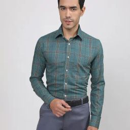 Louis Stitch Green Cotton Regular Fit Checks Shirt-image-94