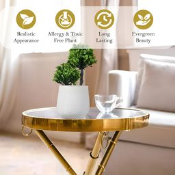 Kuber Industries White & Green 4 Pieces Artificial Plants With Pot image 5