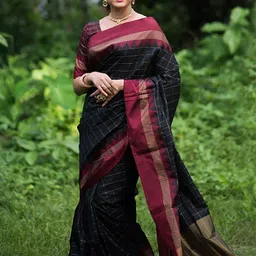 AMRUTKALA SAREES Checked Banarasi Saree-image-71