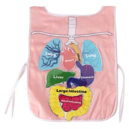 My House Teacher What's Inside My Body Apron ( Print And Color May Vary)-25