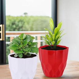 Kuber Industries 2-Pieces White & Red Textured Planters-53