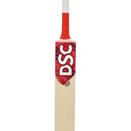 DSC Roar Terra Kashmir Willow Cricket Bat Size - 2-image-7