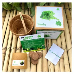 sow & grow Sow and Grow DIY Gardening Kit - Parsley-picture-16