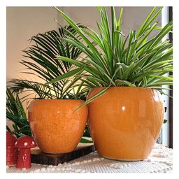 Niyara Combo Stylish Ceramic Pots for Indoor Plants - Mustard Apple Combo-22