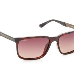 Image Men Rectangle Sunglasses with Polarised and UV Protected Lens IMS791C2PSG-13