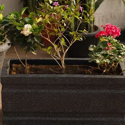 TRUSTBASKET FloraHaven Black Printed Planter-19