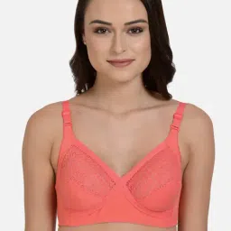 Mod & Shy Peach Non Wired Non Padded Everyday Bra-picture-35