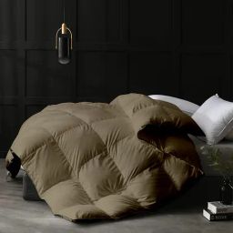 Razzai Beige Poly fill Basic Comforters-picture-41