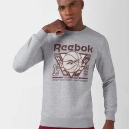 Reebok Grey Melange Regular Fit Graphic Print Sweatshirt-22