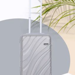 Teakwood Leathers Silver 4 Wheels Small Hard Cabin Trolley Bag 37 cm-16