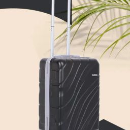 Teakwood Leathers Black 4 Wheels Small Hard Cabin Trolley Bag 37 cm-image-38