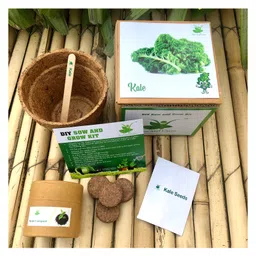 sow & grow Sow and Grow DIY Gardening Kit - Kale-picture-37
