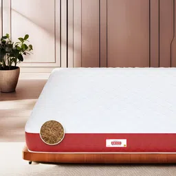 COIRFIT White & Maroon Quilted Cotton Orthopedic Queen Size Mattress-image-43