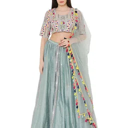 Payal Singhal Embellished Mirror Work Ready to Wear Lehenga & Blouse With Dupatta-picture-20