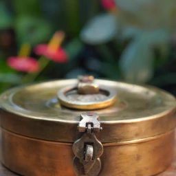 Ambi Handcrafted Vintage Elegant Brass Chapati Container 8.5 Inch Diameter-image-40