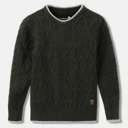 Blue Giraffe Boys Black Self Full Sleeves 1 Sweater-image-55