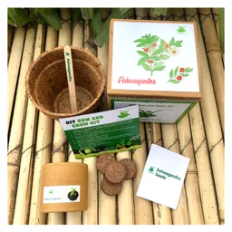 sow & grow Sow and Grow DIY Gardening Kit - Ashwagandha-picture-39