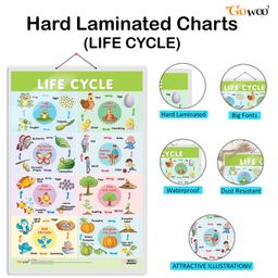 GOWOO Set of 2 Solar System and Life Cycle Early Learning Educational Charts Pack of 2 - Multicolor image 2