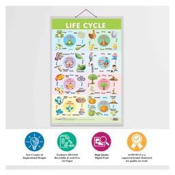 GOWOO Set of 2 Solar System and Life Cycle Early Learning Educational Charts Pack of 2 - Multicolor image 4