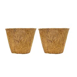 Aura Brown Textured Coir Planter-3