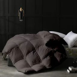 Razzai Grey Poly fill Basic Comforters-5