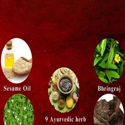 Bhimseni Karyalay Set Of 2 Him Bhringraj Ayurvedic Oil - 100g Each image 3