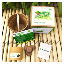 Sow and Grow DIY Gardening Kit - Moringa-image-4