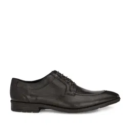 Carlo Romano Men's Brown Derby Shoes-image-81