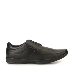 Red Chief Men's Black Derby Shoes-image-27