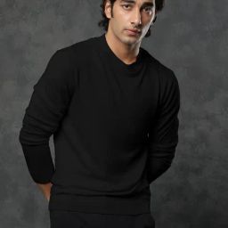 Rare Rabbit Black Slim Fit Solid Pullover-picture-25